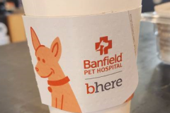 BANFIELD PET HOSPITALS